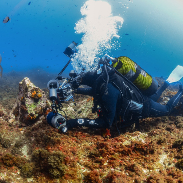 Cursos de Especialidad | Tour en Cartagena