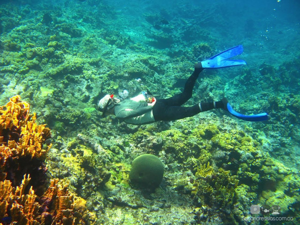 Tour Snorkeling | Tour en San Andrés