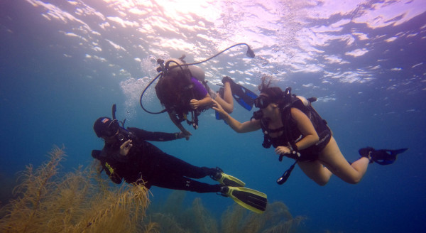 Discover Scuba Diving. | Tour en San Andrés